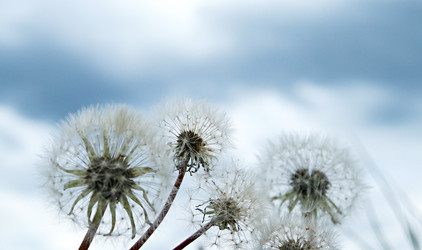 Similar image 21355625