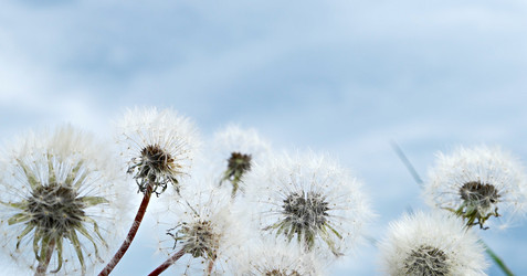 Similar image 21355626