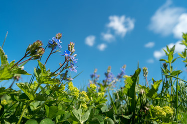 Similar image 21355628