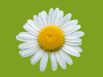 Similar image 21355630