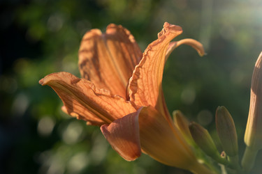 Similar image 21355633