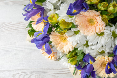 Similar image 21355397