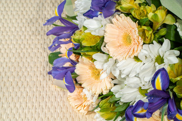 Similar image 21355407