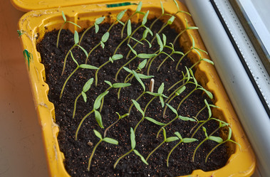 Similar image 21358048