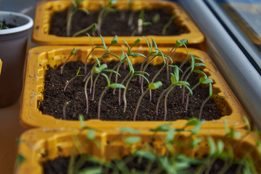 Similar image 21358049