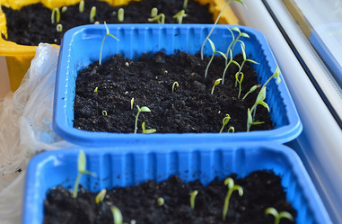 Similar image 21358050