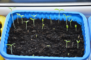 Similar image 21358051