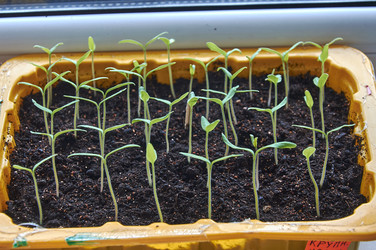 Similar image 21358052