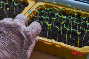 Similar image 21358053