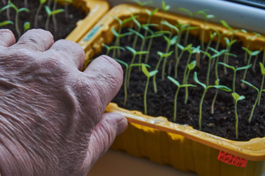 Similar image 21358054