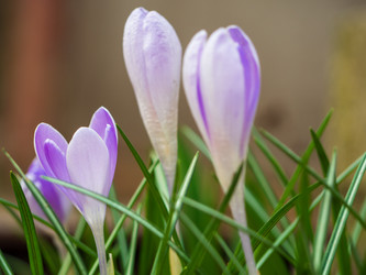 Similar image 21354822