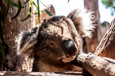 Similar image 21354850