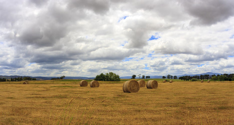 Similar image 21354851