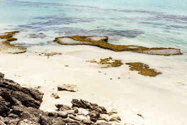 Similar image 21354867