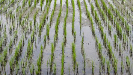 Similar image 21354868