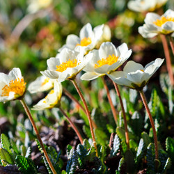 Similar image 21354875