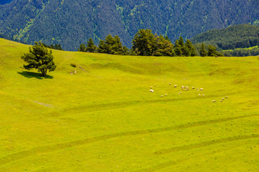 Similar image 21354880