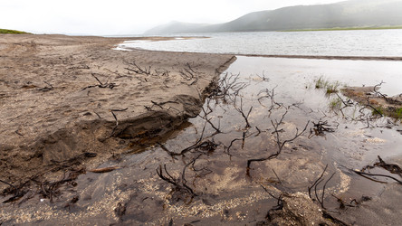 Similar image 21354883