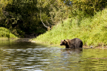 Similar image 21354885