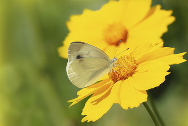 Similar image 21356888