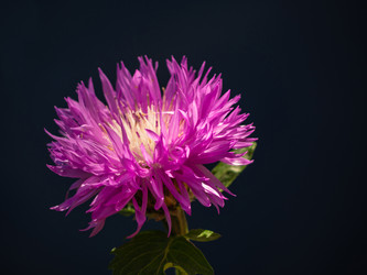 Similar image 21356892