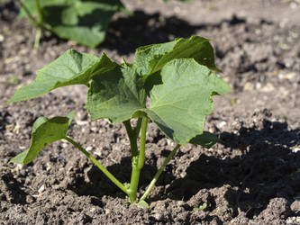 Similar image 21356894