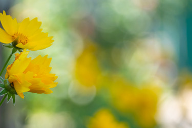 Similar image 21356896