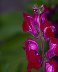 Similar image 21356898