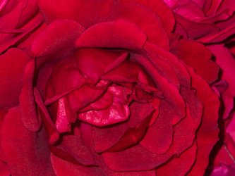 Similar image 21356899