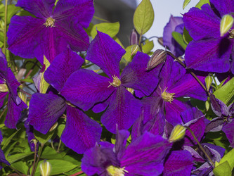 Similar image 21356900