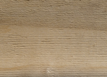 Similar image 21356904