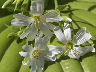 Similar image 21356905