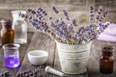 Similar image 21355054