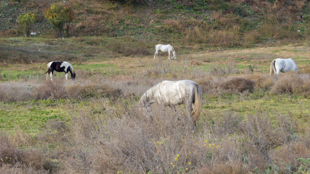 Similar image 21356907