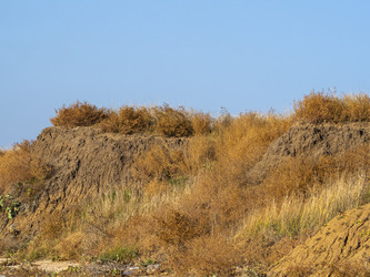 Similar image 21356912