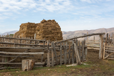 Similar image 21354888