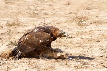 Similar image 21354890