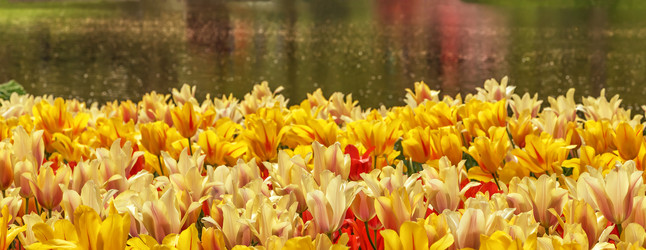 Similar image 21355425