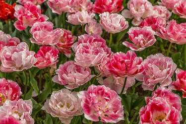 Similar image 21355167