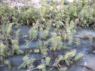 Similar image 21355434