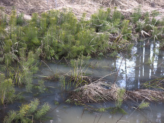 Similar image 21355435