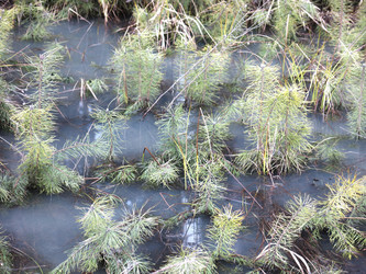 Similar image 21355436