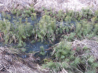 Similar image 21355437