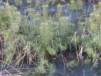 Similar image 21355438