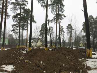 Similar image 21355439