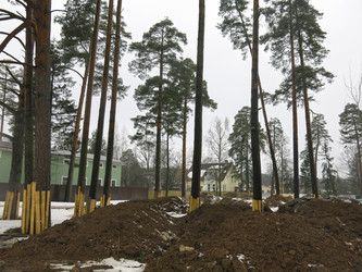 Similar image 21355440