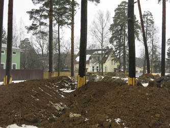 Similar image 21355443