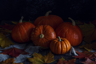 Similar image 21355175