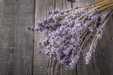 Similar image 21355197