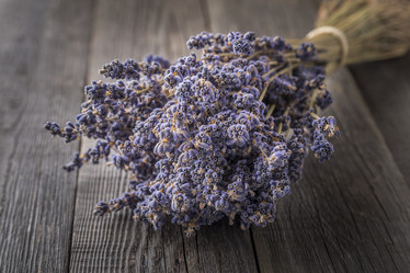 Similar image 21355199